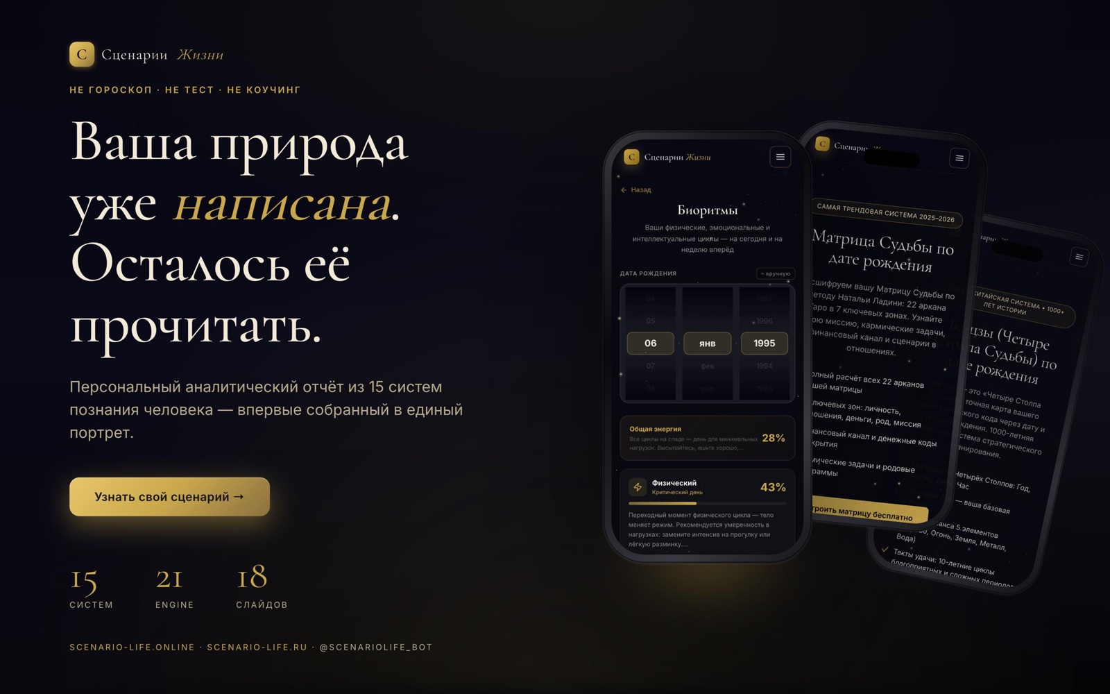 Каталог отчётов
